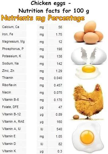 7 Incredibles Benefits Of Chicken Eggs Natureword