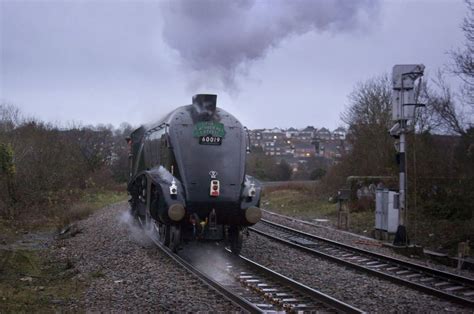 Categorylner Class A4 4464 Bittern Steam Engine Trains British