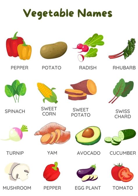 43 Popular Vegetable Names In English With Pictures Tpr Teaching