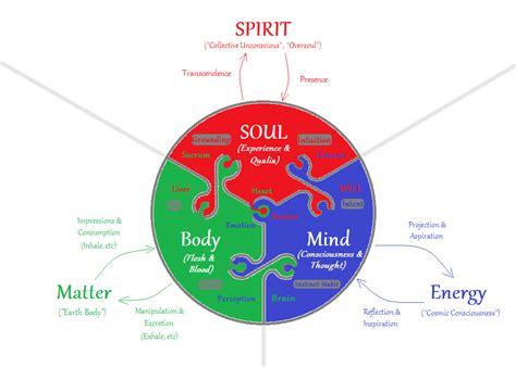 How The Mind And Body Work Together