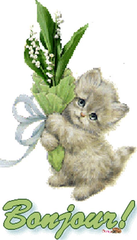 Recherchez parmi des muguet photos et des images libres de droits sur istock. "Bonjour!" - Chaton et bouquet de muguet...