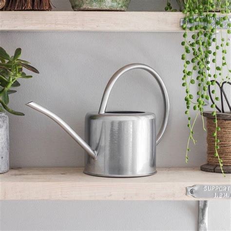They need the temperature to be just so, the soil to have a specific degree of acidity, sunlight at just the right hours, water to come in just the right amounts. galvanised steel indoor plant watering can by the forest ...