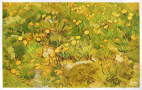 A Field Of Yellow Flowers Vincent Van Gogh Paintings