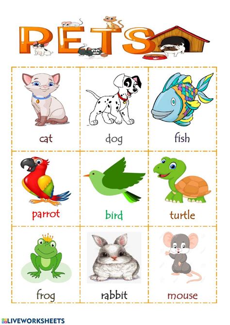 Pets Lets Listen Pets Worksheet In 2020 Pets English As A Second
