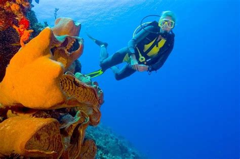 Scuba Diving In Punta Cana Dominican Republic Seapro Divers
