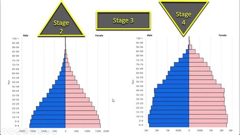 Connecting Demographic Transition Model Stages To Population Pyramids Youtube