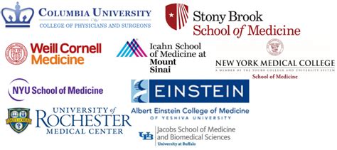 Best Medical Schools In New York Top Schools In The Usa