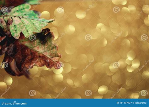 Fancy And Elegant Autumn Background With Oak Leaves On Bright Bokeh