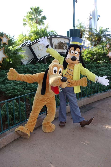 Pluto And Goofy At Hollywood Studios