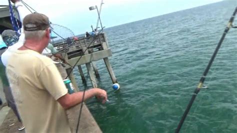 Dania Beach Pier Fishing Youtube