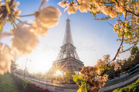 Eiffel Tower During Spring Time In Paris France Stock Photo Image Of