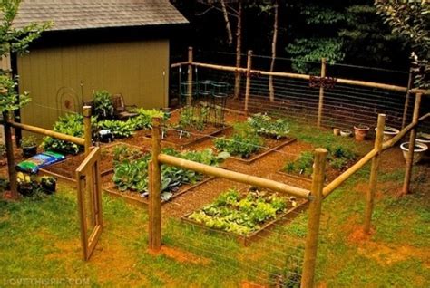 Building a fence around your garden is an easy way to keep pests from devouring your carefully grown fruits and how to build a diy garden fence. 27 Cheap DIY Fence Ideas for Your Garden, Privacy, or ...