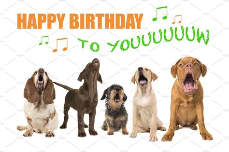Happy Birthday Dog Images Micronica68