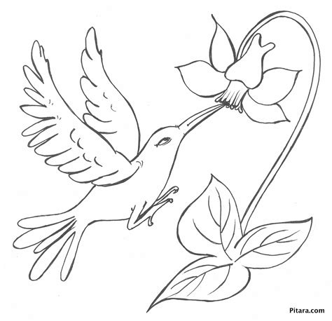 Here presented 54+ bird and flower drawing images for free to download, print or share. Bird with flower - Coloring page - Pitara Kids Network