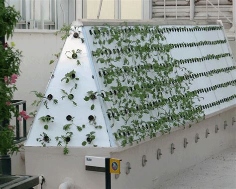 Design a cheap hydroponic system using soda bottles for growing herbs and lettuces. 5 Vertical Hydroponic Ideas To Get You Going