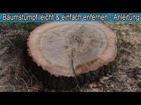 Wenn im folgejahr neue triebe wachsen, werden sie einfach mit der gartenschere entfernt. Großen Baumstumpf mit Wurzel mühelos & einfach entfernen ...