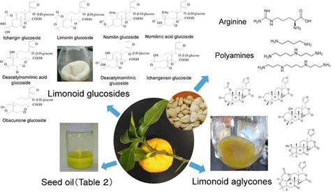 Physiological Functions Mediated By Yuzu Citrus Junos Seed Derived