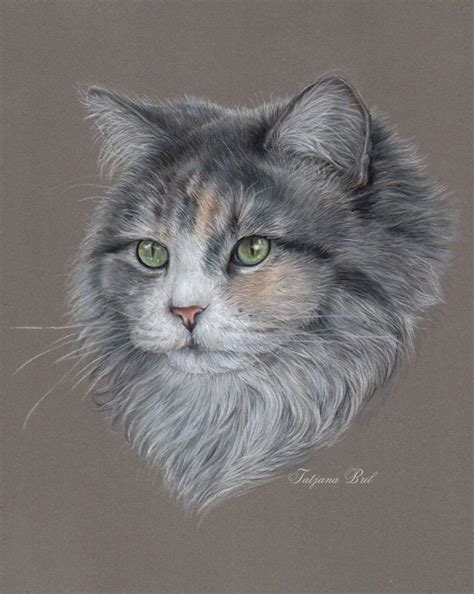 Siberian Cat Pastel Art By Tatjana Bril Artfinder