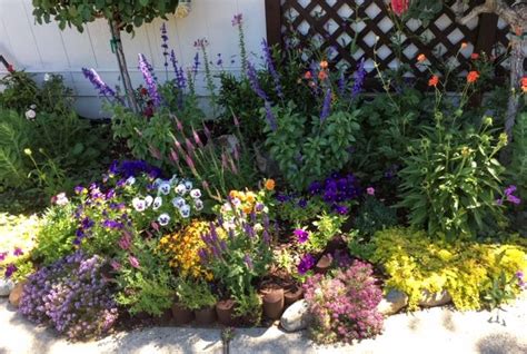Maybe you would like to learn more about one of these? Save Seeds from Your Favorite Ornamentals | myMotherLode.com