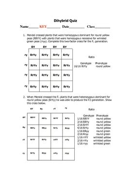 You still follow the same process for monohybrid crosses. Dihybrid Punnett Square Quiz by Goby's Lessons | TpT