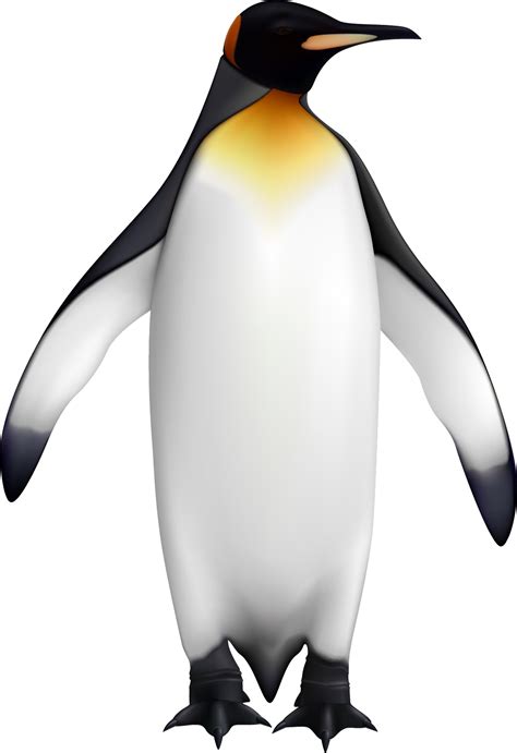 King Penguin Bird Png File