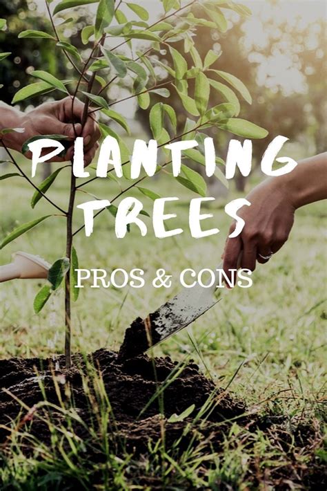 Learn About Pros And Cons Of Planting Trees Gardening