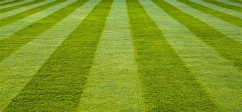 9 Lawn Striping Patterns You Should Try Out