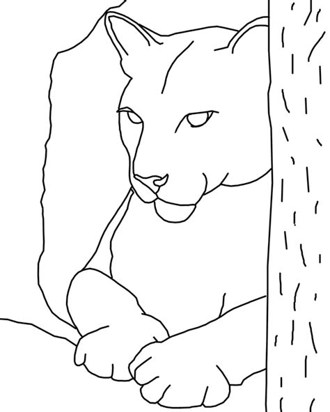 In this section, find a large selection of coloring pages cougars. Cougar Pictures To Print - Coloring Home