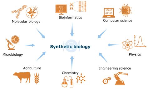 Synthetic Biology In Agriculture And Food Market Research Outlook With Growth Analysis Dynamic