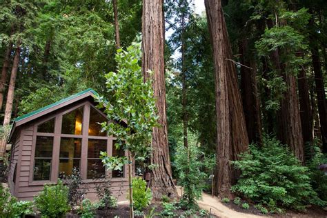Glen Oaks Big Sur California Cabins Among The Redwoods Big Sur Big