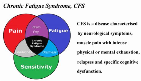 Chronic Fatigue Syndrome Or Myalgic Encephalomyelitis Health And