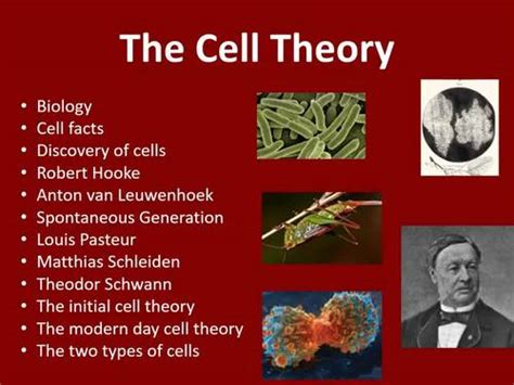The Cell Theory Lesson Biology Powerpoint Lesson And Student Notes
