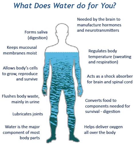 The Essence Of Life Water Health And Wellness