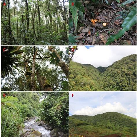 She truly cares about people and wants to help angela is gentle, understanding and nonjudgemental in her approach. ANGELA GRACE TOLEDO BRUNO | PhD in Forest and Natural ...