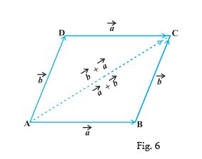 Vector Addition: Parallelogram and Triangle Laws, Videos and Examples