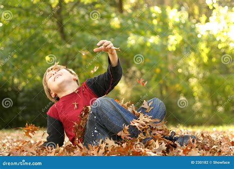 Falling Over In The Fall Stock Photo Image Of Foliage 230182