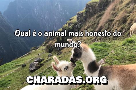 Qual é A Charada Mais Difícil Do Mundo