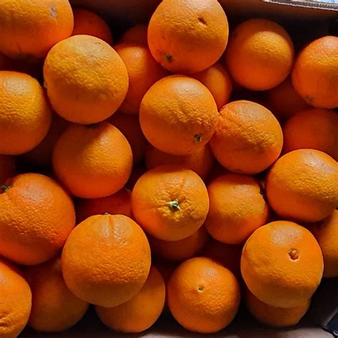 Orange à Jus Espagne 1kg