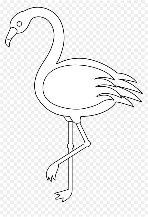 Flamingo Clip Art Outline Hd Png Download Vhv