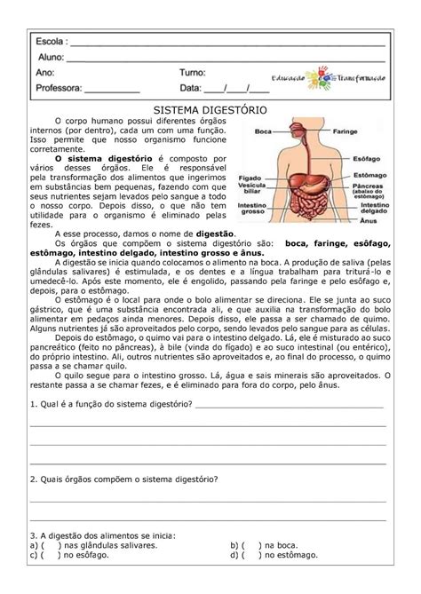 Questoes De Sistema Respiratorio