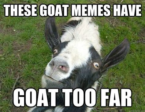 15 Top Funny Goat Meme Images And Jokes Quotesbae