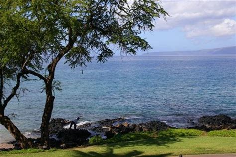 3700 Wailea Alanui Dr, Kihei, HI 96753 - Travelers ...