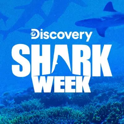 Discovery Channel Releases Shark Week Schedule Primetimer