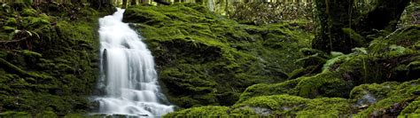 Green Mos Multiple Display Landscape Nature Waterfall 4k Wallpaper