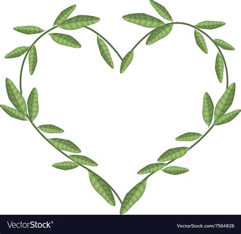 Green Vine Leaves In Beautiful Heart Shape Vector Image