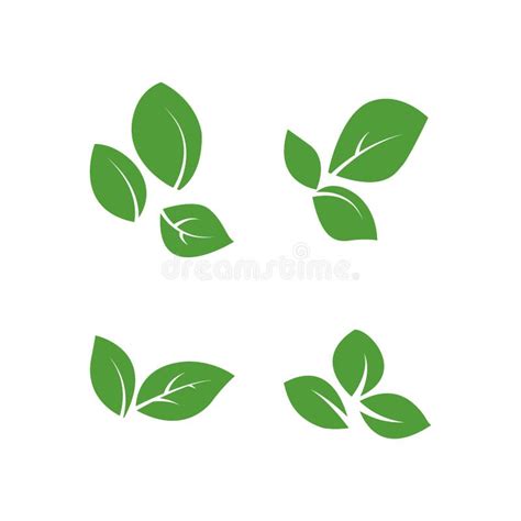 Set Of Isolated Green Leaves Vector Icon Design On White Background