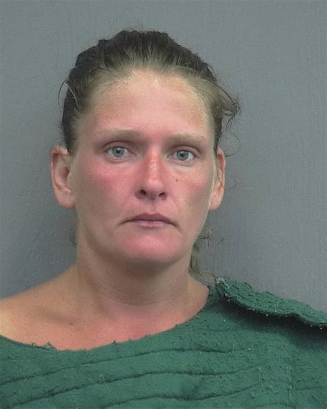 Naked Woman Arrested In Gainesville For Allegedly Hitting Cars Action