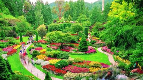Gambar Taman Bunga Paling Indah Di Dunia Gambar Bunga