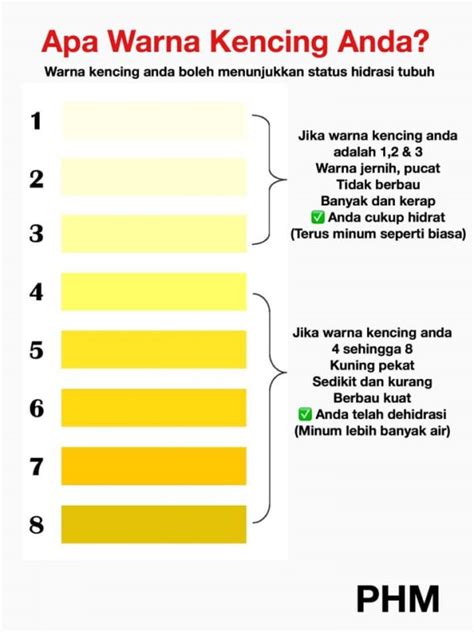 Mat saturday, january 8, 2011. Infografik Warna Kencing Tunjuk Status Hidrasi Tubuh Kamu ...