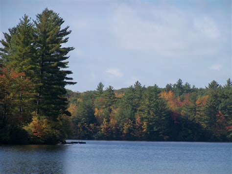 A Photo Of Foliage On Bunganut Lake In Lyman Maine 10 5 12 Lyman